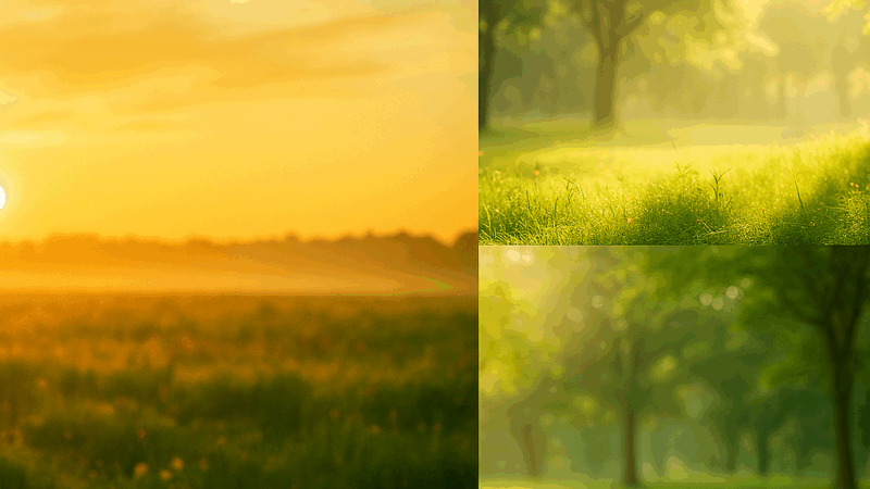 🎄腸と脳　新感覚YOGAエクササイズ