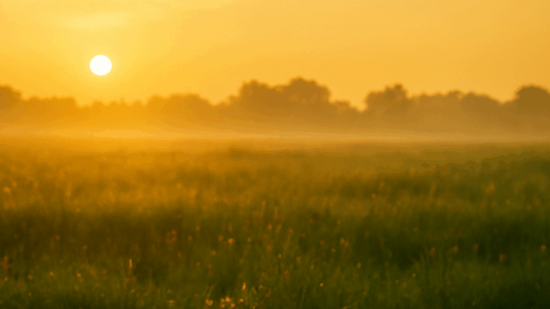 🌅腸と脳　新感覚YOGAエクササイズ